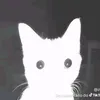 jojishelby