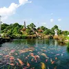 longhienduong2018