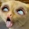 lollipoppiiiiuuuu