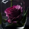 sarah_58_2