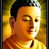 user043890282