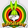 budzbunny422