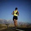 runforest12