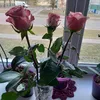 tatianagalushko4