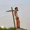 cardozoo_david
