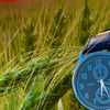 thamer29050