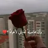 mamdouhalalaiwi