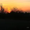 am_hh7