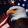 patriotsouthernboy