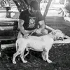 rpedroso8
