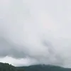 mncuuaa