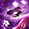 mamawolfonsilentwings