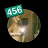 gustavovito21