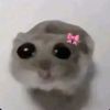 chicksgirlguide