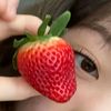 strawberries9606
