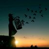 dreams3935