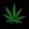 Aleeuser298