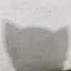 nootnoot734
