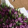 shhad_228