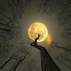 mohamed.noah_1