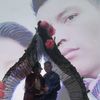 593soychalito