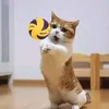 fixsonbmt