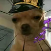 psina_pomoyna