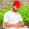 punjabimonda9414