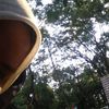 maylily98