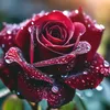 elana7644