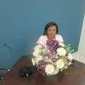 telmareginadejesussanto