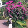 user25030810