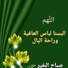 shadialali48