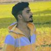 zainali8404469