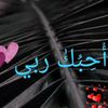 almohib100