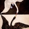 _valentinauu