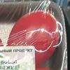 _pomidor_8927