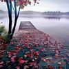 eal_4