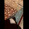 omhassanalgeim
