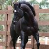 houda_1234