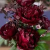 valentinac_1_1