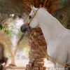 w.tv7_
