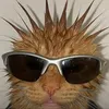 nobeelive