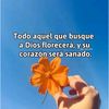 mi.carolito