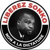 lionbousonko
