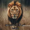 wydadhm3