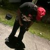 sxnriooo_