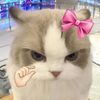 callme_rn