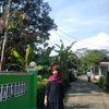 laaimupp1