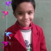 shahzadhussain523